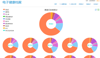 电子健康档案数据分析系统